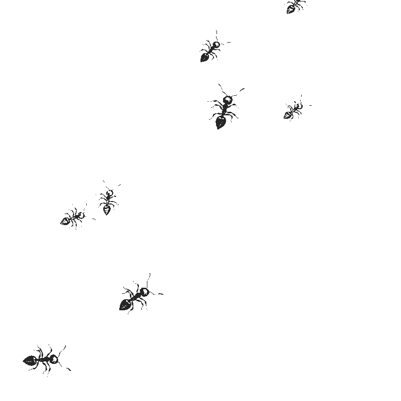 Gif of ants crawling in the corner